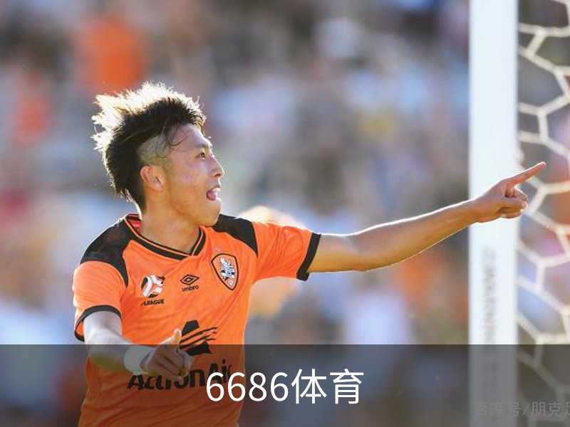 6686体育概况